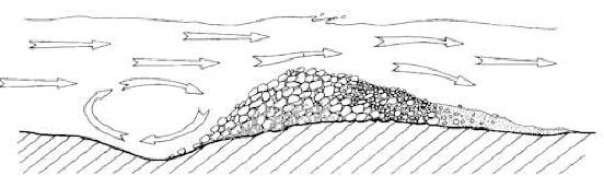 Fray�re de truites